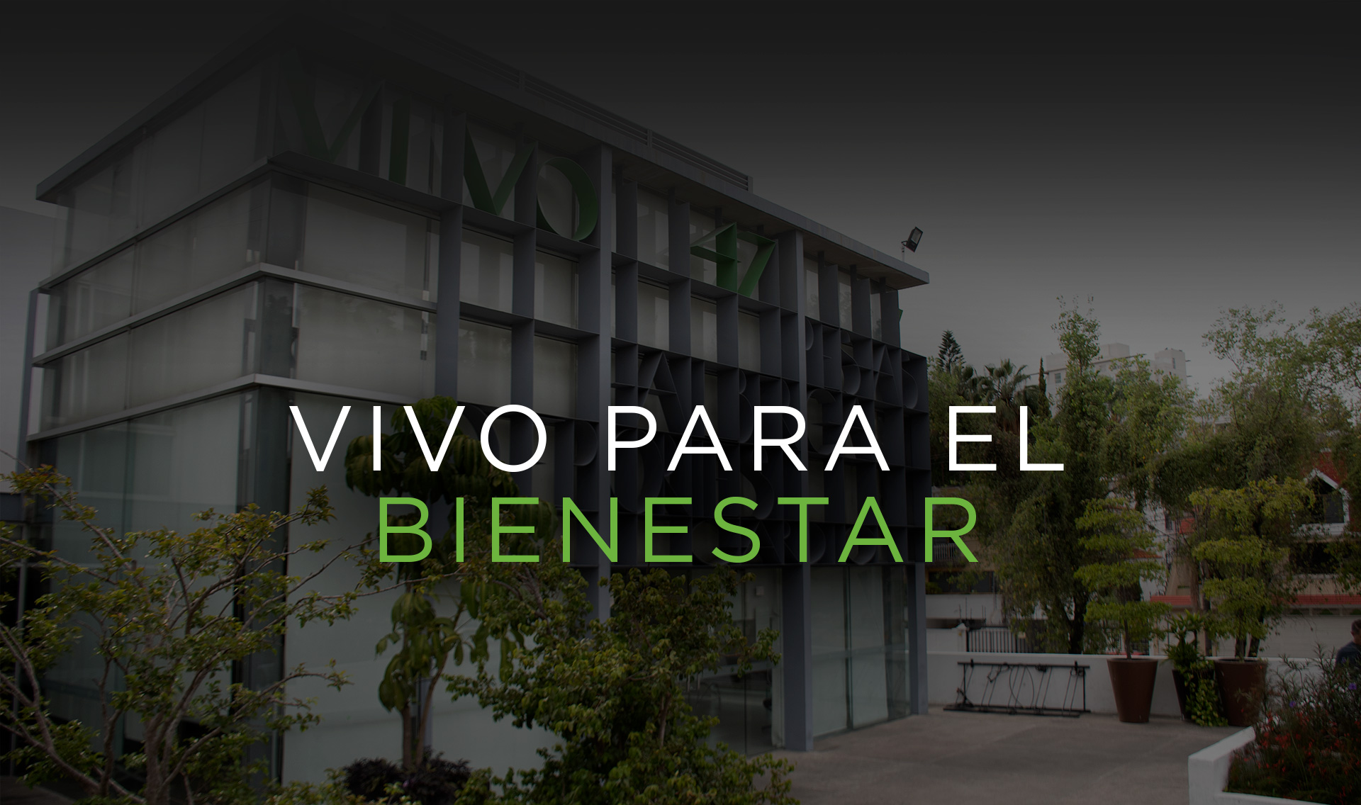 Vivo 47 Family Fitness Club